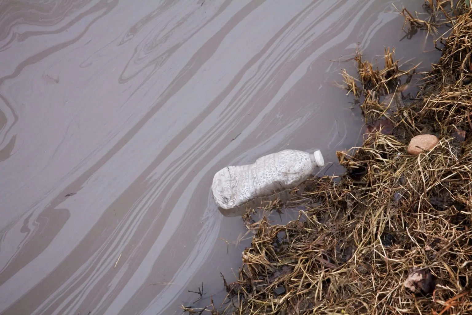 Plastic bottle floating in polluted water.